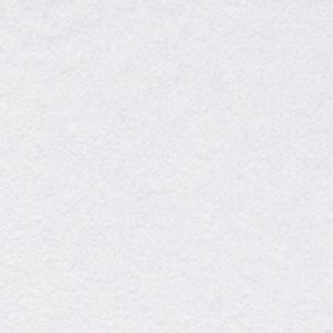 Long Sleeve Cora Top Print: 100 White X-Small